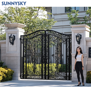 Sunnysky thiết kế phía trước lối vào nhà cổng đúc lối vào chính nhập kim loại rèn sắt cửa - Product Image 5