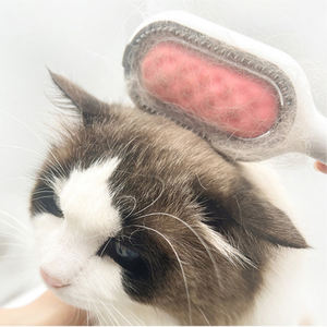 ABS sikat bulu hewan peliharaan dan sisir untuk anjing kucing menghilangkan kusut rambut panjang perawatan membersihkan aksesoris kecantikan dengan kemasan kotak - Product Image 2
