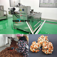 Machine de caramélisation de noix d'amandes d'arachide commerciale à haute efficacité Machines de traitement de noix de noix