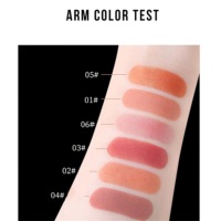 Palette de fard à paupières, poudre unique de haute qualité, à personnaliser soi-même pour le Contour