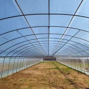 <span class=keywords><strong>Serre</strong></span> <span class=keywords><strong>tunnel</strong></span> agricole à structure <span class=keywords><strong>solide</strong></span> et faible coût pour fraises, en film plastique à simple travée - Product Image 2
