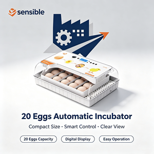 Incubateur d'œufs automatique de type à rouleaux, capacité 20 œufs, petit incubateur pour œufs de poulet, canard, oie, dinde et oiseaux - Product Image 1