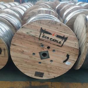 <span class=keywords><strong>Aac</strong></span> 2/0 AWG Aster ASTM tiêu chuẩn tất cả các dây dẫn nhôm cho đường dây trên không - Product Image 4