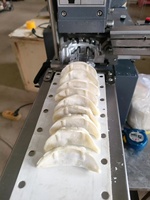 Machine à fabriquer des raviolis, gyozas, empanadas, samosas, garnitures et enveloppes pour petites entreprises – Machine à faire des raviolis frits