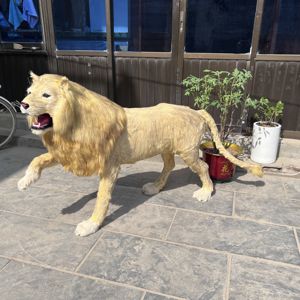 Estatua de León de La Selva de buena calidad, molde profesional personalizado, animales de peluche, León para decoración de fiesta - Product Image 3