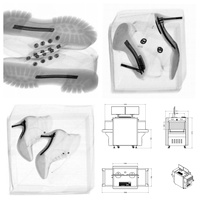 Système d'inspection complet intelligent et durable Viking AI X-Ray pour scanner les bagages, les vêtements et les accessoires de chaussures