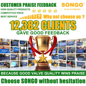 150 фунтов, 2 способа, 3 дюйма, нержавеющая сталь, 304, сварной шаровой клапан с пневматическим приводом двойного действия и концевым выключателем - Product Image 6