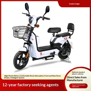 Bicicleta Eléctrica Personalizada de Fábrica TDT182Z de 14 Pulgadas, Scooter Urbano de 48V con Motor en el Buje Delantero, Asistencia al Pedaleo, Autonomía de 45-55km, Nueva Versión Nacional - Product Image 3