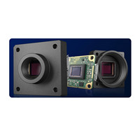 Cámara monocromática Sony IMX287 de 1/2.9" con obturador global, 728x544, 291 fps, Gigabit Ethernet 3.0W para seguridad y protección