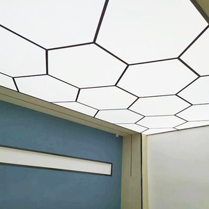 Trần Thiết Bị Chiếu Sáng Pvc Chất Lượng Cao ZHIHAI - Product Image 3