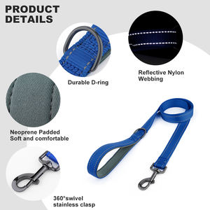 Toptan üretici ayarlanabilir naylon dayanıklı yumuşak yastıklı neopren yansıtıcı Pet köpek tasması ve tasma seti - Product Image 4