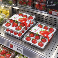 Recyclable RPET En Plastique Fraise Fraise Fraîche Boîte D'emballage Plateau Intérieur Couvercle Carré Fruits Alimentaire Conteneur Emballage Industrie Électronique