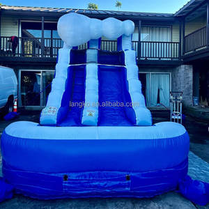 Toboggan aquatique gonflable commercial 2026 pour adultes et enfants, motif palmier, avec piscine intégrée, à prix abordable - Product Image 4