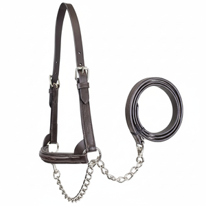 เชือกแขวนคอหนังสติชแฟนซียกสูงพิเศษ,โชว์วัวพร้อมสายจูงเข้ากันของแท้ - Product Image 1