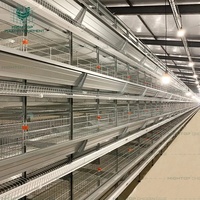 Système de cages à poules pondeuses de type H entièrement automatique, équipements d'élevage avicole galvanisés, cage à batterie pour poules pondeuses