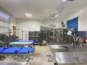 OSCAT, ветеринарный операционный стол с плоским верхом из нержавеющей стали, кровать для диагностики и лечения собак, кровать для хирургии животных - Product Image 6