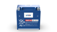 Nouvelle batterie de démarrage de moteur 12V 8.6Ah haute performance, garantie 12 mois, compatible avec les motos CF Moto, les quads, les UTV et les dune buggies