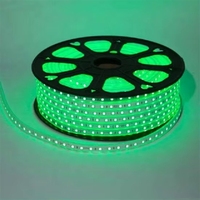 Pita LED Fleksibel Tahan Air IP67 Tegangan Tinggi AC110-220V Smd 2835 60LEDS/M RGB