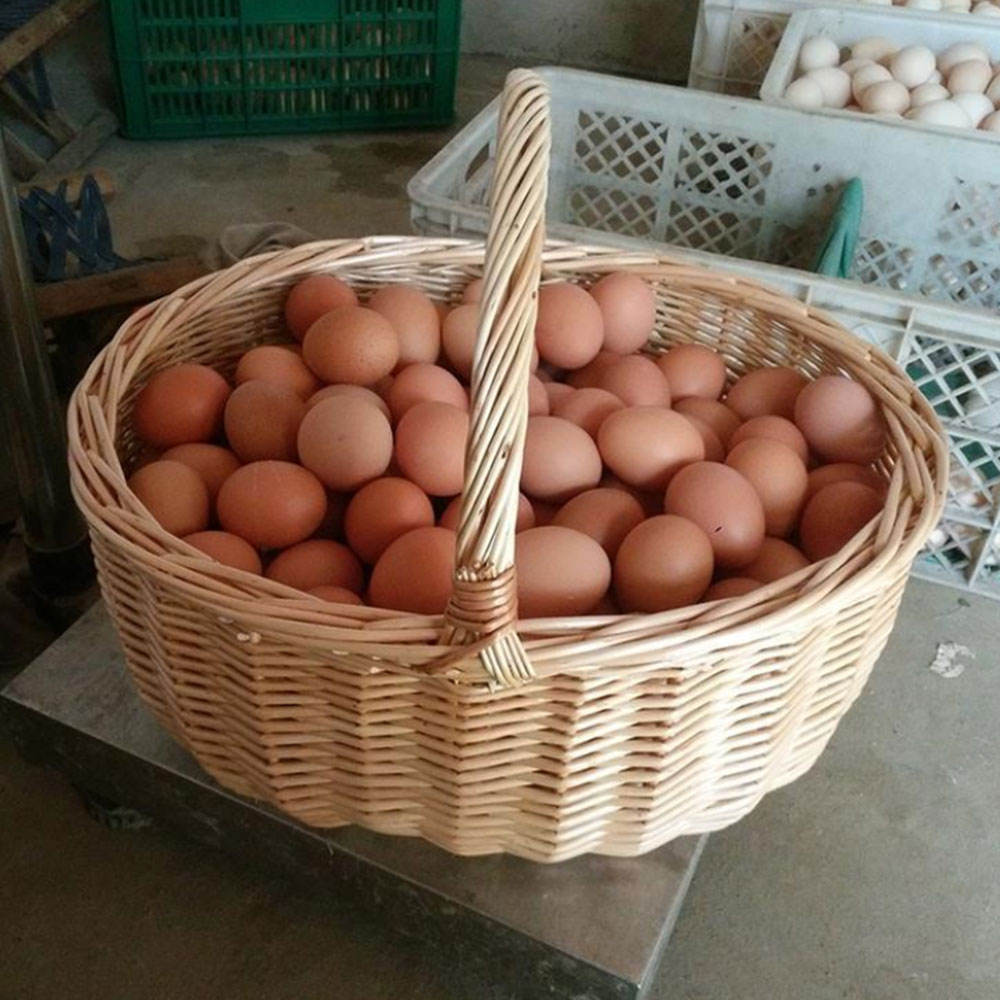 ธรรมชาติ