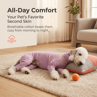 Pyjama anti-léchage à 4 pattes pour Bedlington Terrier et Whippet, combinaison de récupération, vêtements pour animaux de compagnie, chemise de base pour chien en coton ultra-extensible