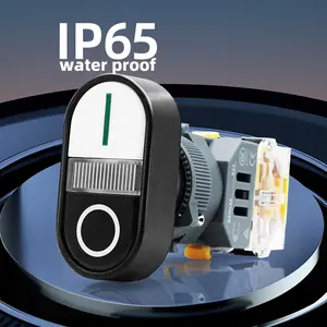 مفتاح تشغيل بزر ضغط مزدوج من BENLEE 22-بدء تشغيل IP65 قابل لإعادة الضبط الذاتي للماء زر مفاتيح ميكانيكية صناعية