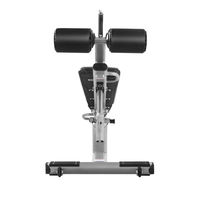 Banc de musculation réglable en acier pour la maison, banc de crunch abdominal incliné avec fonction d'extension dorsale