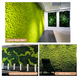 Wholesale Last 5 Years Green Wall Real Natural Stabilized Preserved Decorative <strong>Moss</strong> <strong>Bun</strong> Pillow Cushion Pole <strong>Moss</strong> - Product Image 6