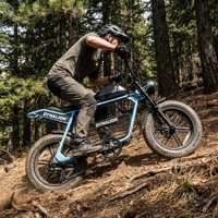 VTT électrique tout-terrain à couple élevé avec frein à disque hydraulique, vélo de montagne électrique à pneus larges pour l'aventure sur sentier