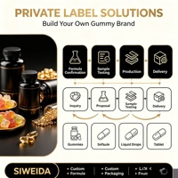 Gummies Keto ACV Vinaigre de Cidre Perte de Poids Métabolisme Énergie Sans Sucre Végétalien Complément OEM Grossiste 60