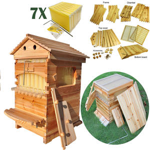 2 परत बीहीव्स बॉक्स घर ब्रोड बॉक्स 7x शहद फ्रेम कंघी + कुंजी - Product Image 4