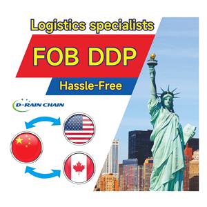 Envío Exprés Gratuito a China, Malasia, EE. UU. y Canadá Vía Aérea+Exprés con Servicio Puerta a Puerta y Soporte 24/7 - Product Image 1