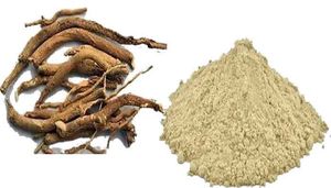 Extracto de planta de polvo de raíz de Punarnava salvaje para alimentos saludables polvo de raíz diffusa boerhaavia para Salud o suplemento nutricional - Product Image 5