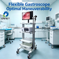 Système d'endoscopie vétérinaire EURVET avec gastroscope flexible CMOS de 8,0 mm et moniteur vidéo sur chariot