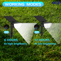 Lampe solaire LED d'extérieur en gros d'usine, étanche IP65, en ABS, décorative pour jardin, patio et éclairage de chemin
