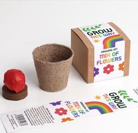 Kit de démarrage pour jardin d'herbes d'intérieur, jardinière auto-arrosante, adaptée aux débutants, pour cultiver du basilic frais, de la menthe et du persil