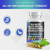 Suplemen Herbal Halal GMP Rumput Laut Minyak Habbatussauda Ashwagandha Jahe Kapsul Kunyit Moringa Daun Hijau Akar Burdock Dewasa