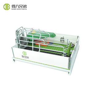 Nueva Cama de Parto para Cerdas DEBA Brother, Jaulas de Gestación, Varilla de Acero Galvanizado en Caliente, Rodamiento de Acero Inoxidable SST304, 1 Año de Garantía, para Granja - Product Image 3