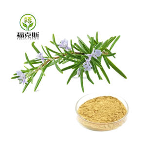 Bubuk ekstrak Rosemary <span class=keywords><strong>Rosmarinus</strong></span> <span class=keywords><strong>Officinalis</strong></span> kualitas Premium murni - Product Image 3