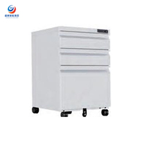 Archivador de Acero Resistente Moderno para Oficina, Almacenamiento de Documentos con Sistema Antivuelco para Uso Comercial, Exterior y Escolar