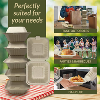 Boîte alimentaire jetable en bagasse de canne à sucre de qualité alimentaire, étanche et résistante à l'huile, conteneur en pulpe compostable, compatible micro-ondes, boîte à emporter