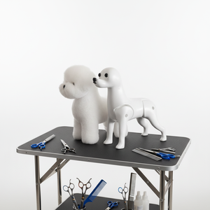 Modelo de práctica de peluquería canina Bichon, esqueleto para competición y enseñanza, altura del hombro 28 cm, para práctica de esteticista canina y estudiante de peluquería. - Product Image 1