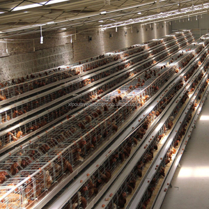 Galvanizli çelik Anti-pas a tipi katmanlar kafes 10000 tavuk tavuk çiftliği için otomatik tavuk kafesleri yumurta tabakası - Product Image 2