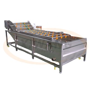 Laveuse de fruits et légumes entièrement automatique à ozone en acier inoxydable avec nettoyage par bulles d'air, état neuf, composant moteur essentiel - Product Image 2