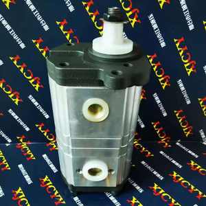 Pompe à engrenages hydraulique 3655100M91 0510465364 3661228M91 0510365315 Utilisée pour <span class=keywords><strong>Landini</strong></span> Atlantis/Ghibli 100 70 75 80 85 90 105 <span class=keywords><strong>95</strong></span> - Product Image 3