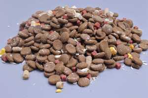 Cibo Secco <span class=keywords><strong>per</strong></span> <span class=keywords><strong>Cani</strong></span> OEM ODM Cinese, Organico, ad Alto Contenuto Proteico, Basso Contenuto di Grassi, Senza Coloranti/Forme Artificiali, Vari Gusti, <span class=keywords><strong>per</strong></span> Tutti i <span class=keywords><strong>Cani</strong></span> - Product Image 2