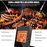 Termometer BBQ nirkabel pintar jarak jauh, dengan 4 Probe dapat disesuaikan Pro-04 termometer memasak makanan daging mendukung OEM & ODM