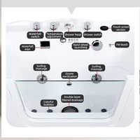 Baignoire SPA professionnelle pour animaux de compagnie, grande baignoire pour chiens et chats avec jets d'eau massants pour salon de toilettage