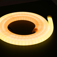 Bande de Led Flexible Néon 14W Rgbw Lumière 24V 360 Luminescence Uniforme Rgb 200M 20Mm Rouleau de Bande Flexible Néon