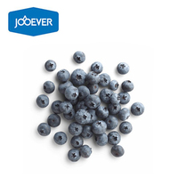 Buah Blueberry Beku IQF (Individually Quick Frozen) Panen Baru, Blueberry Beku untuk Selai, Ekspor Massal Dari Cina