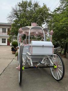 Carruaje de Cenicienta de calabaza de <span class=keywords><strong>boda</strong></span> de alta calidad, paseo al aire libre, <span class=keywords><strong>limusina</strong></span> eléctrica, carruaje de caballos - Product Image 3